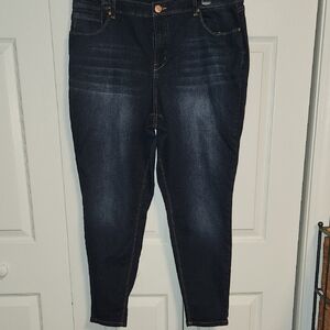1822 Denim Skinny Jeans